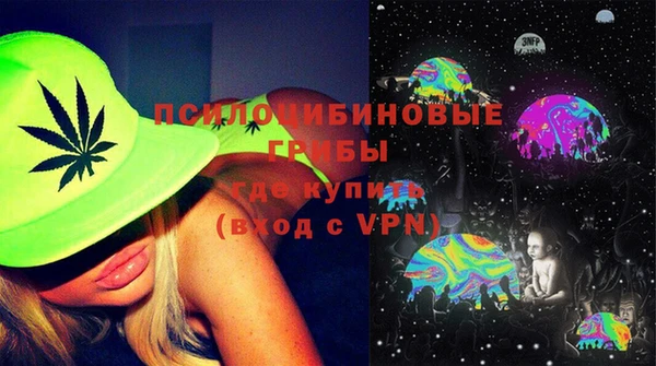 хмурый Богородицк