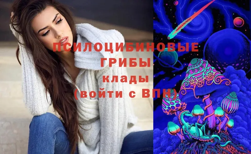 omg зеркало  Бугульма  Псилоцибиновые грибы Cubensis 